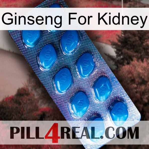 Ginseng For Kidney viagra1.jpg